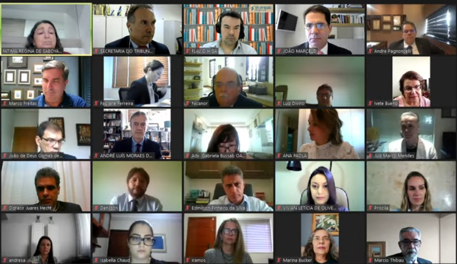 Captura de tela com os magistrados presentes na sessão online