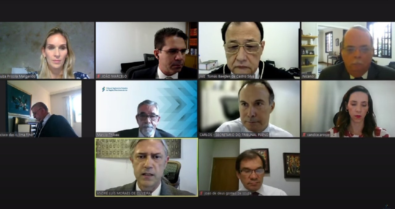 Captura de tela de reunião realizada de maneira telepresencial via Zoom.