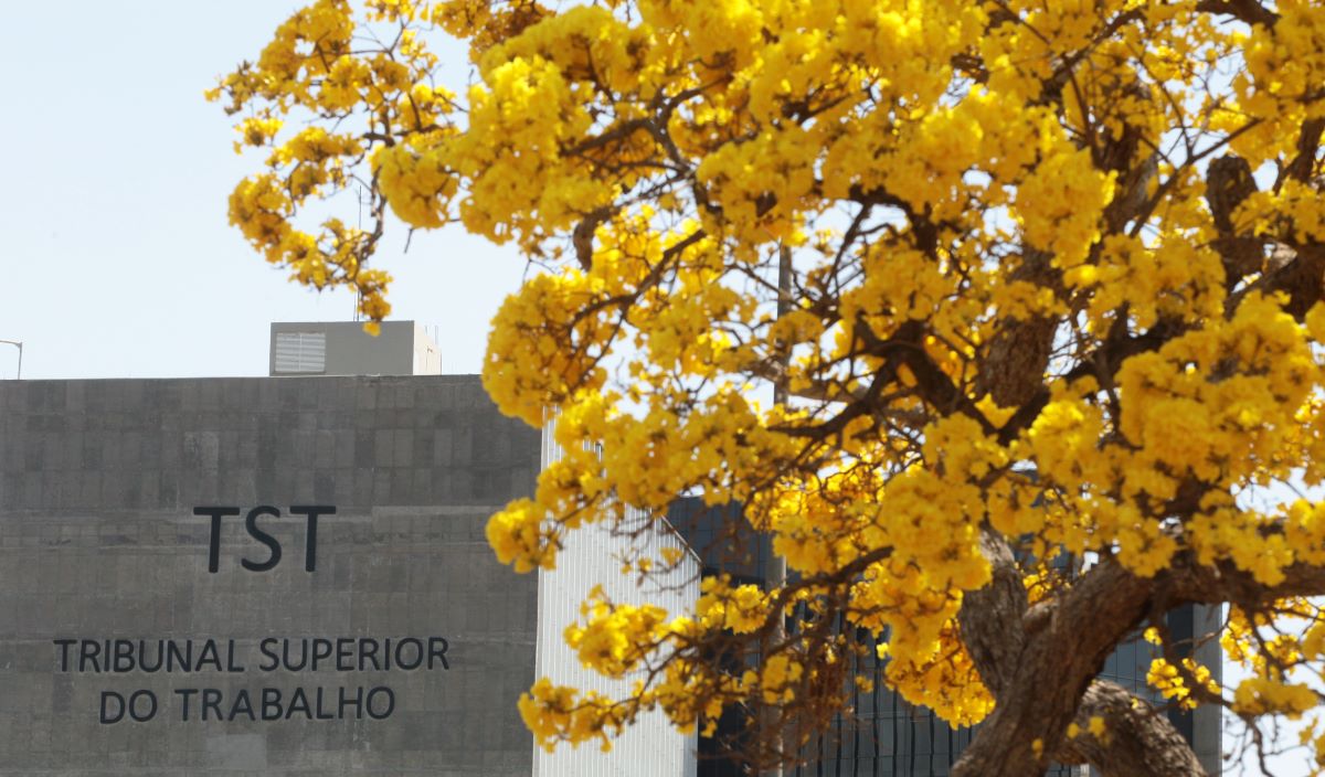 prédio do TST ao fundo e um ipê amarelo