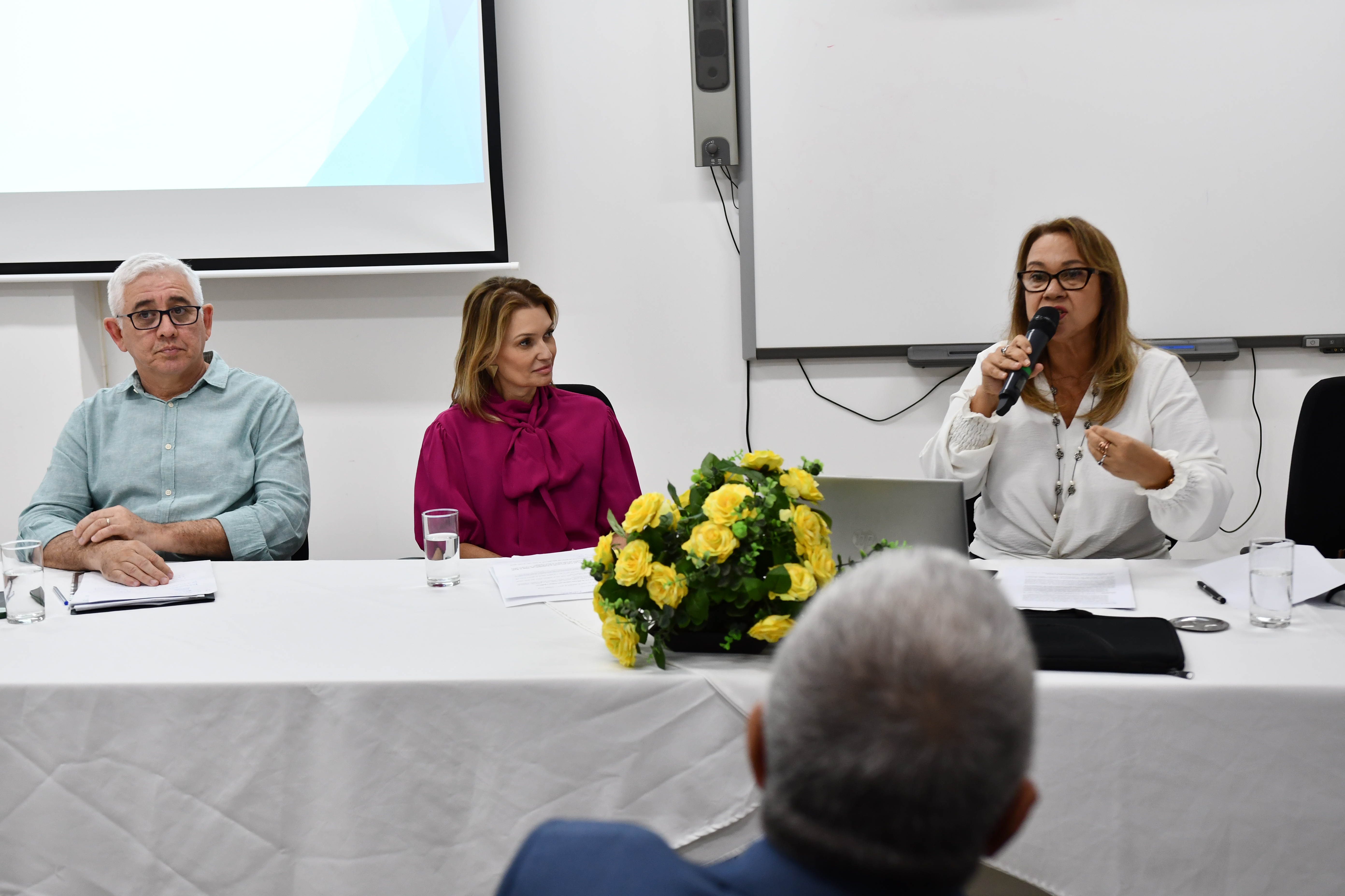 O segundo painel, "A discriminação no ambiente laboral em virtude da identidade de gênero e da orientação sexual"