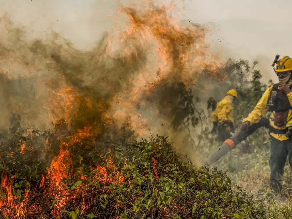 Combate a incêndios em Corumbá (MS), em 2024 - Foto: Marcelo Camargo/Agência Brasil