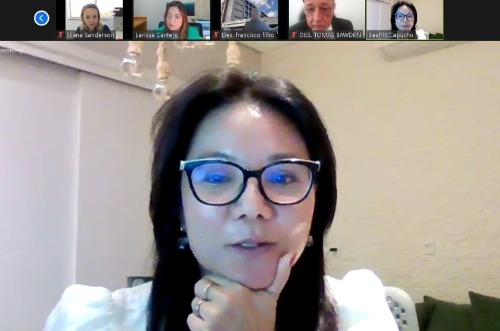 Captura de tela de reunião, realizada de maneira telepresencial, via Zoom.
