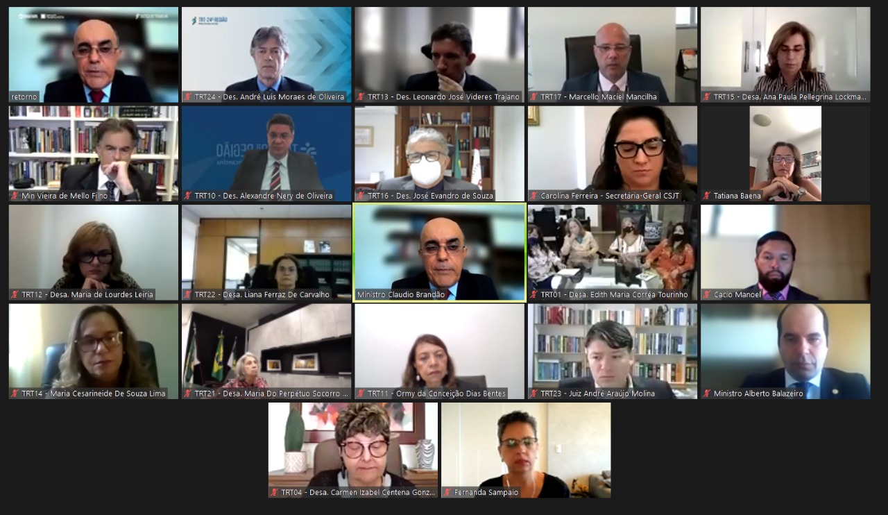 Captura de tela de reunião telepresencial realizada via Zoom