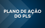 Plano de Ação do PLS