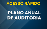 plano anual de auditoria