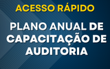 plano anual de capacitação de auditoria