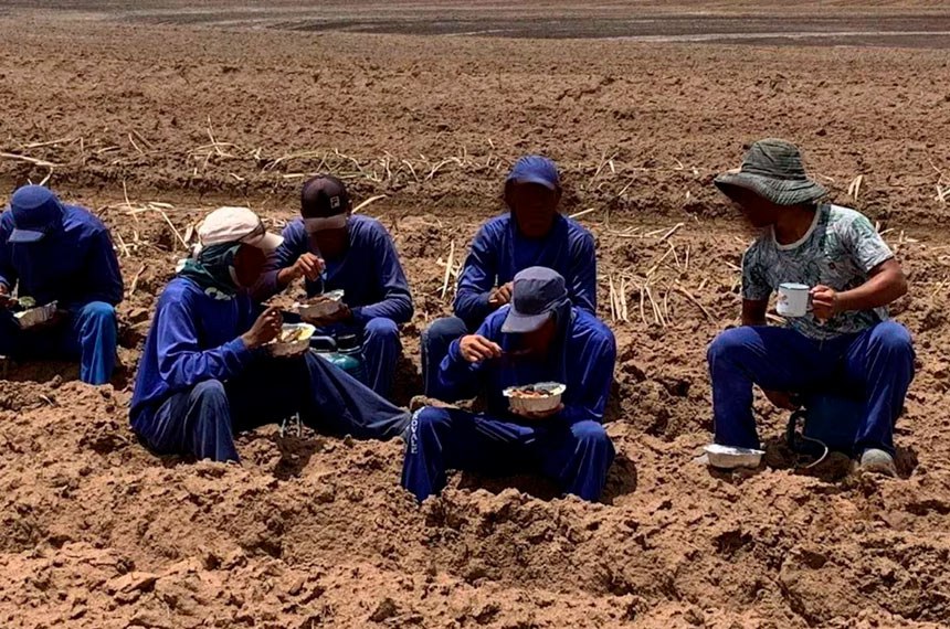 6 trabalhadores sentados na lavoura almoçando