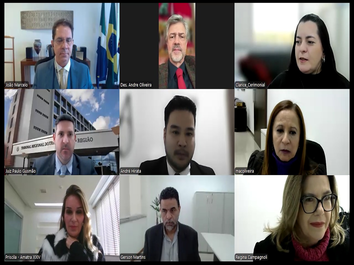 Print da tela da sala virtual com imagens das pessoas que participaram da solenidade