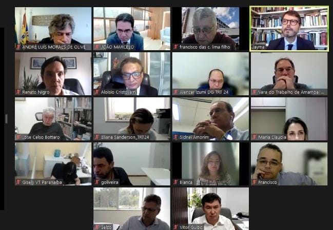 Captura de tela de reunião, realizada de maneira virtual, via Zoom