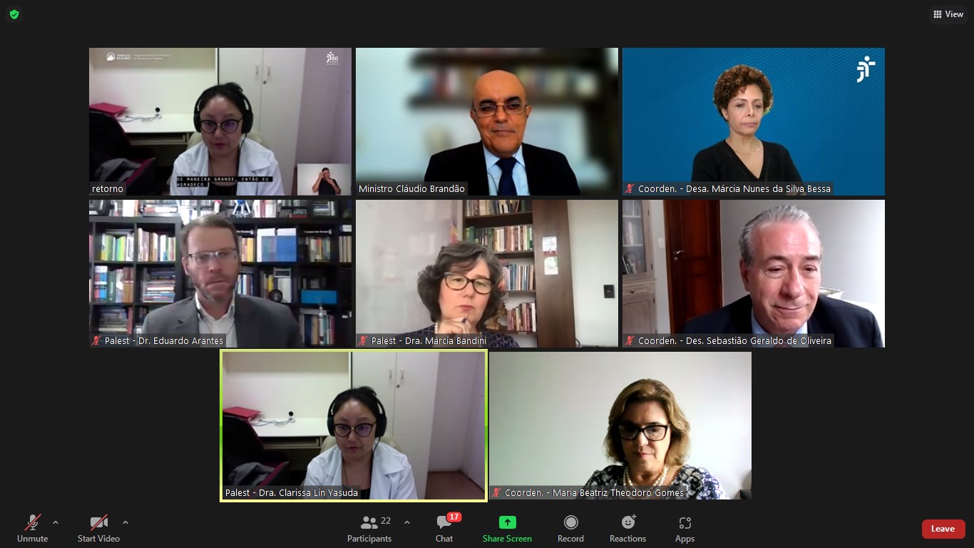 Captura de tela da reunião realizada de maneira virtual via Zoom