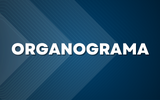 Organograma