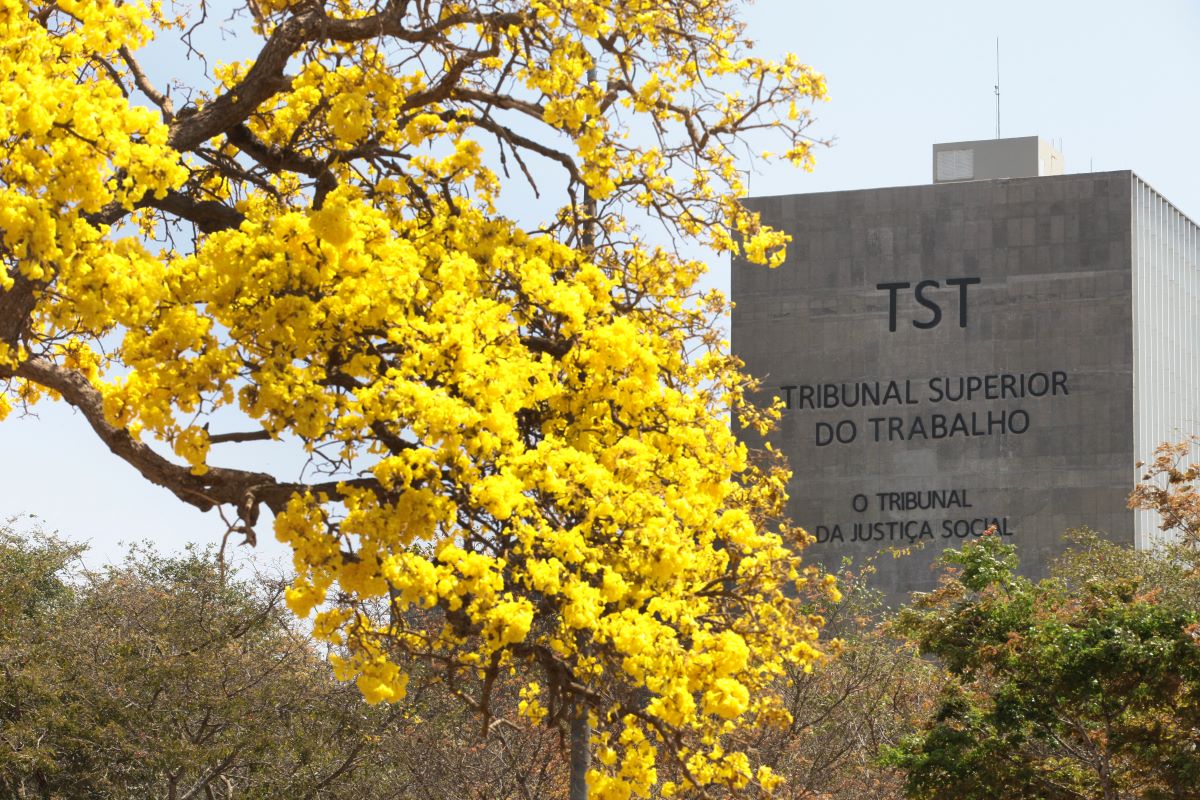 TST disponibiliza página com justificativa para o cancelamento de Súmulas e OJs e precedentes normativos