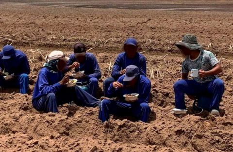 Brasil ratifica protocolo da OIT sobre trabalho forçado