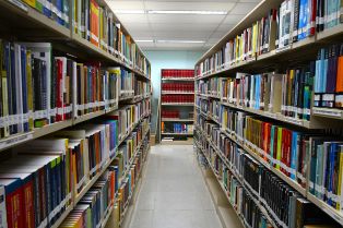 Dia Nacional da Biblioteca: Celebrando o Conhecimento e a Inovação