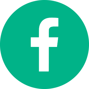 Icone Facebook footer