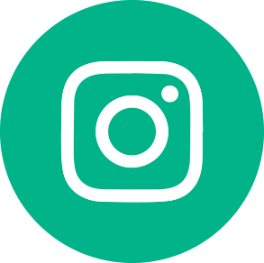 Icone Instagram footer